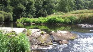 Whispers Along the Ruisseau d’Avenelle: An Enchanted Journey Through Time, Tales, and Hidden Paths ruisseau d'avenelle